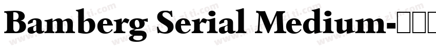 Bamberg Serial Medium字体转换